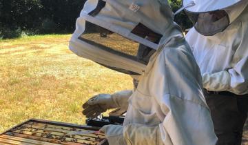 apiculteur