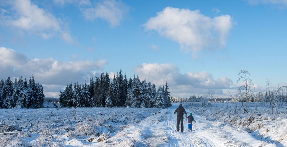 Sneeuwwandelingen Ardennen