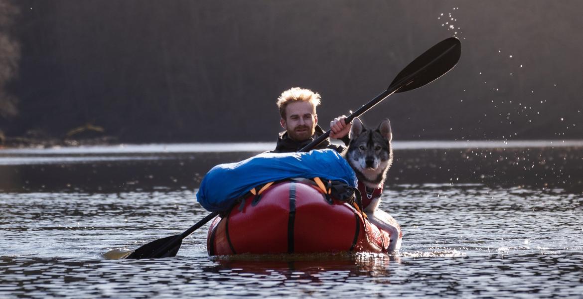 5 activités à faire en Ardenne avec son chien
