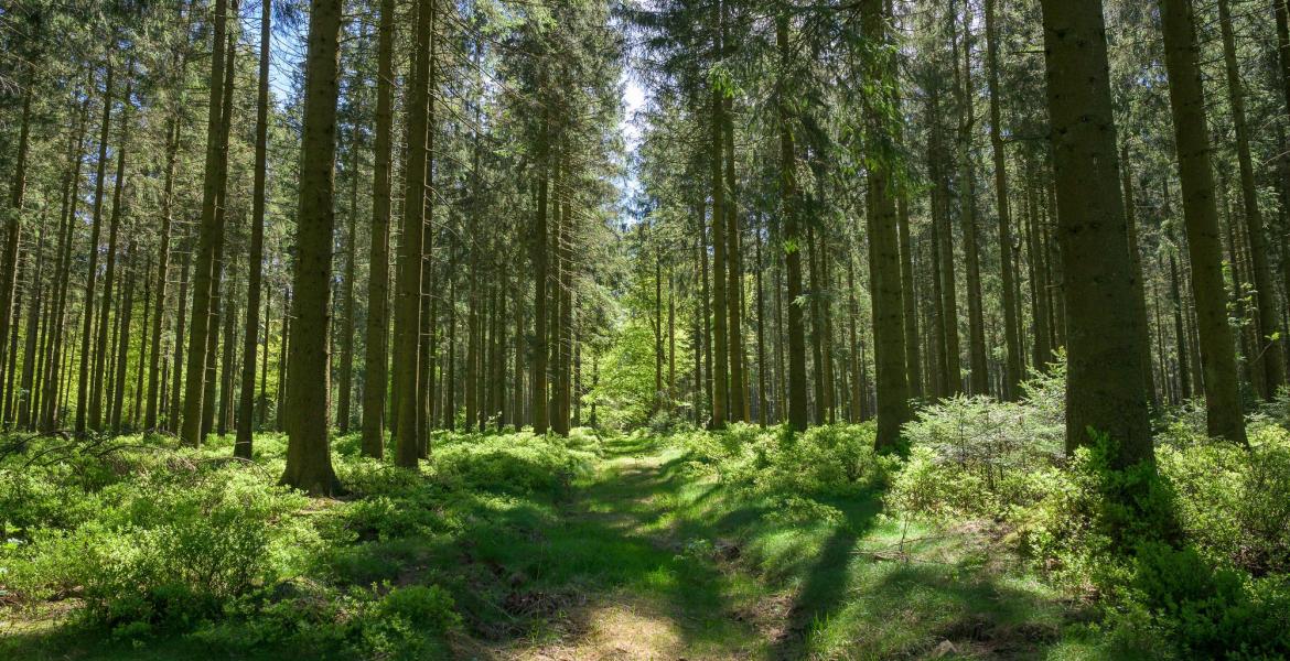 Discover these 8 zones in "the Ardennes” 