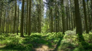 Discover these 8 zones in "the Ardennes” 