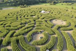 Labyrinth in Province of Luxembourg