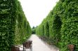 <p>Topiary park</p> - 10