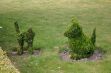 <p>Topiary park</p> - 22