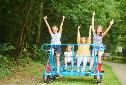 Les Draisines de la Moligne in Province of Namur