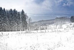 Baraque Fraiture Ski Station in Province of Luxembourg