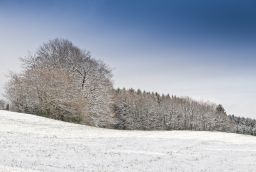 Piste d'Ovifat Ski Club des Hautes Fagnes in Province of Lige