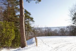 Piste de Luge Zosterbach in Province of Lige