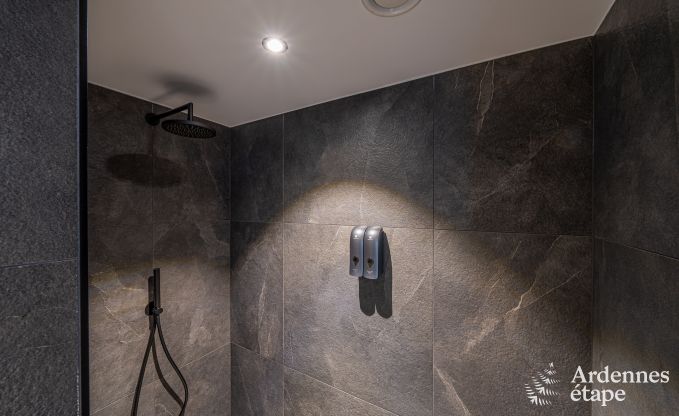 Beautiful holiday home with outdoor jacuzzi and sauna in Amel, High Fens