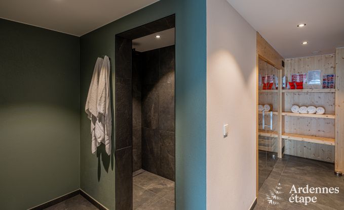 Beautiful holiday home with outdoor jacuzzi and sauna in Amel, High Fens