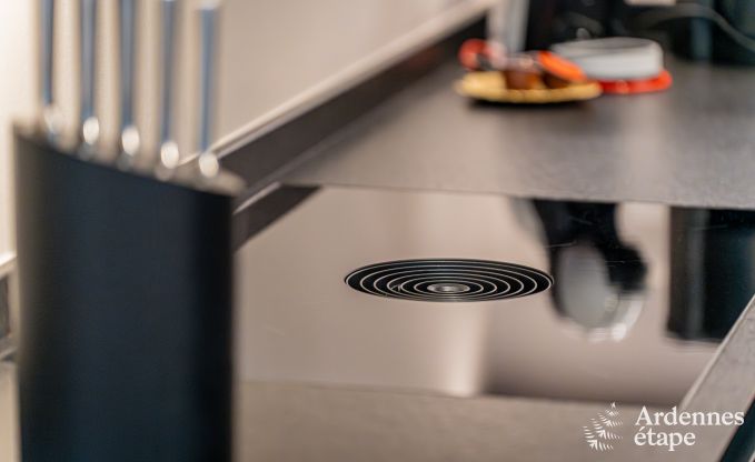 Beautiful holiday home with outdoor jacuzzi and sauna in Amel, High Fens