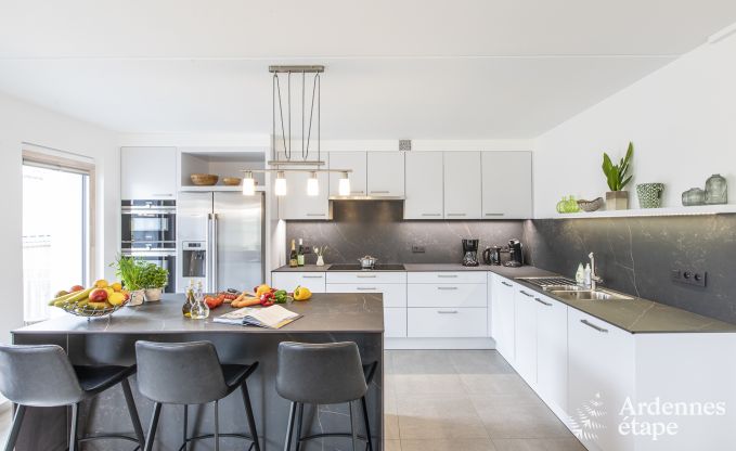 Holiday home for 10/12 people in Amel, High Fens