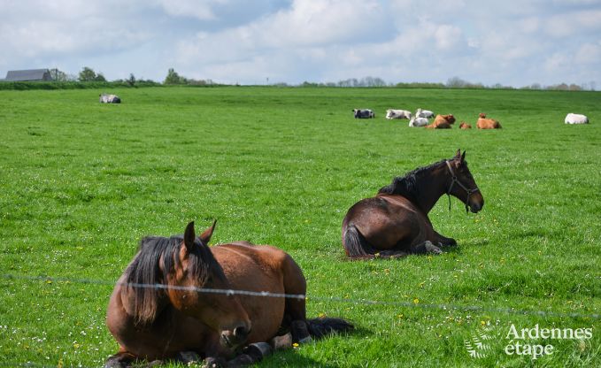 Romantic holiday home with wellness for couples in Andenne