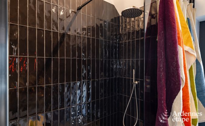 Authentic holiday home for 6 people in Anhe with private sauna, covered terrace and luxury interior