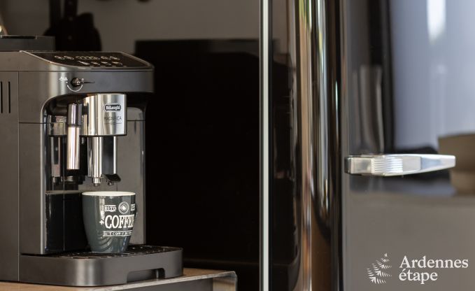 Authentic holiday home for 6 people in Anhe with private sauna, covered terrace and luxury interior