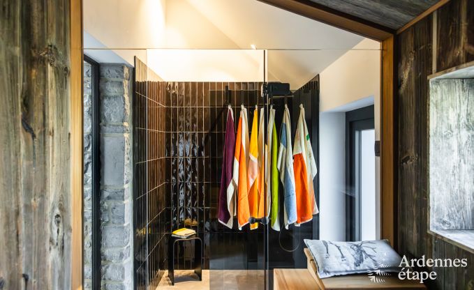 Authentic holiday home for 6 people in Anhe with private sauna, covered terrace and luxury interior