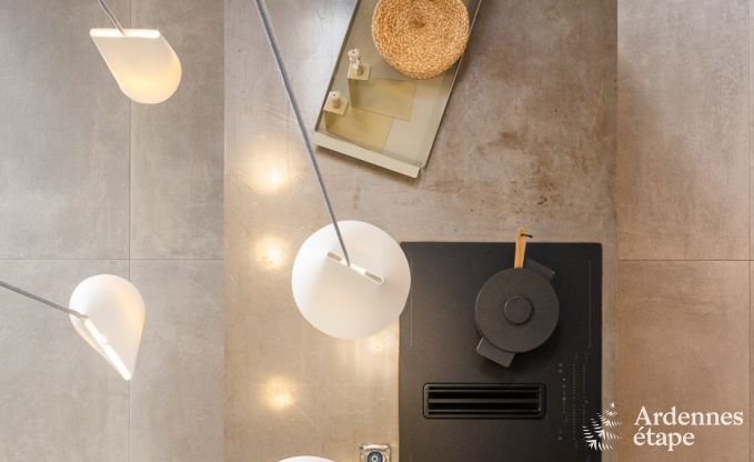 Authentic holiday home for 6 people in Anhe with private sauna, covered terrace and luxury interior