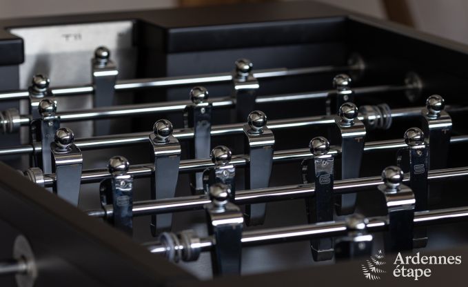 Authentic holiday home for 6 people in Anhe with private sauna, covered terrace and luxury interior