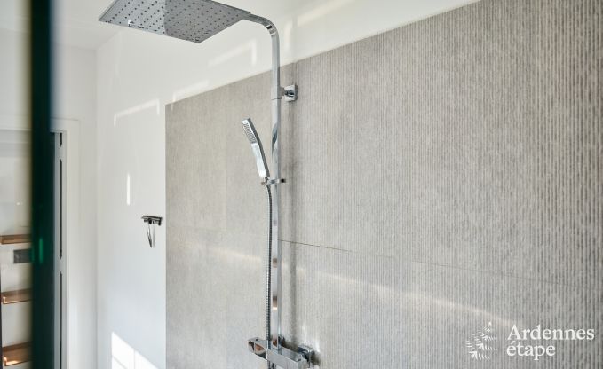 Luxury villa with swimming pool and tennis court for 14 people in Anhe, located in the Moligne valley