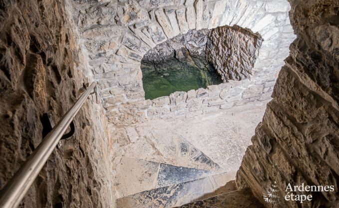 Holiday cottage in Anhe for 15 persons in the Ardennes