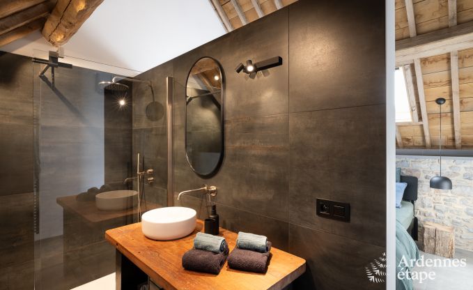 Authentic holiday home for 6 people in Anhe with private sauna, covered terrace and luxury interior