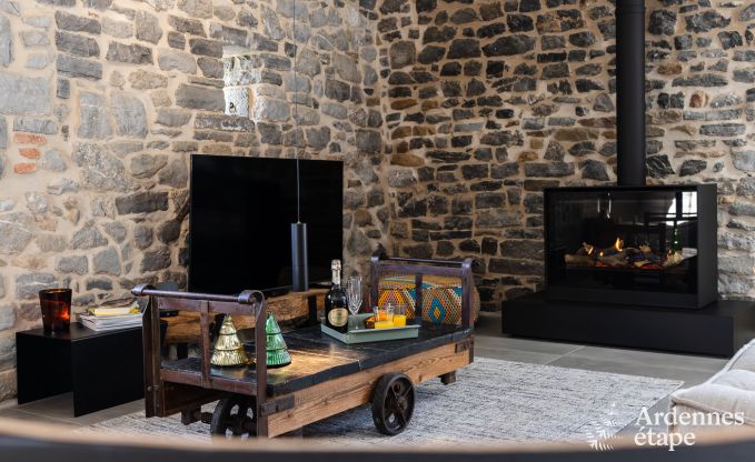 Authentic holiday home for 6 people in Anhe with private sauna, covered terrace and luxury interior