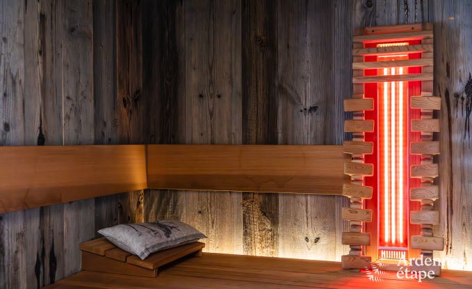 Authentic holiday home for 6 people in Anhe with private sauna, covered terrace and luxury interior