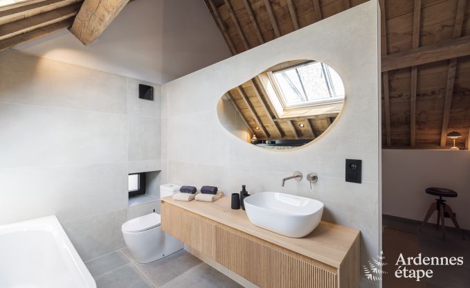 Authentic holiday home for 6 people in Anhe with private sauna, covered terrace and luxury interior