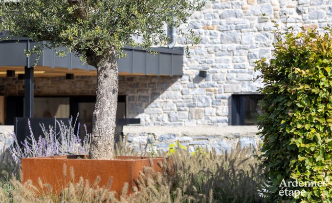 Authentic holiday home for 6 people in Anhe with private sauna, covered terrace and luxury interior