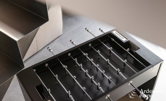 Authentic holiday home for 6 people in Anhe with private sauna, covered terrace and luxury interior