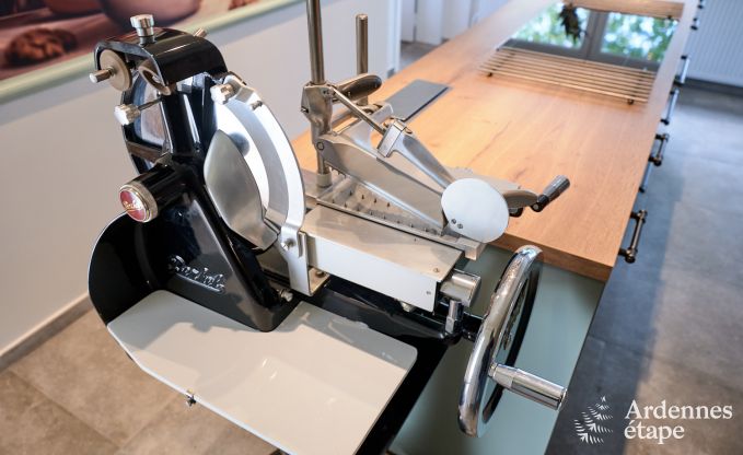 Luxury villa with swimming pool and tennis court for 14 people in Anhe, located in the Moligne valley