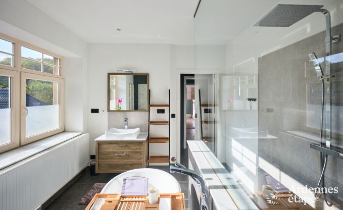 Luxury villa with swimming pool and tennis court for 14 people in Anhe, located in the Moligne valley