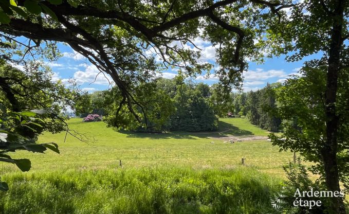 Spacious villa in Assesse, 9 people with 5 bedrooms and your own park