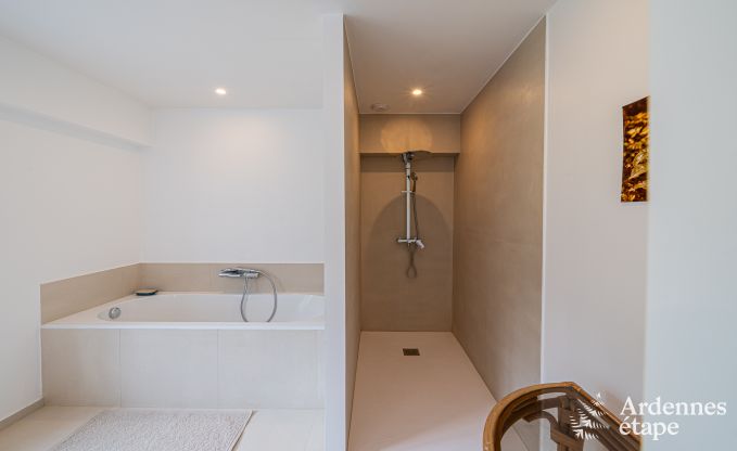 Spacious villa in Assesse, 9 people with 5 bedrooms and your own park