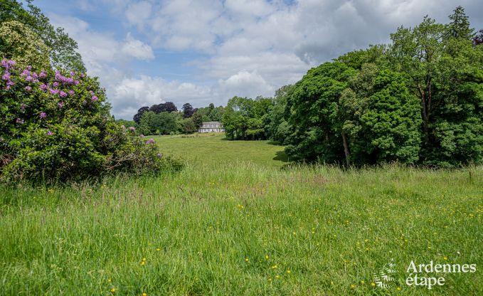 Spacious villa in Assesse, 9 people with 5 bedrooms and your own park