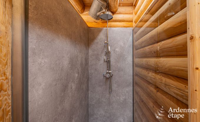 Cozy wooden family chalet in Aywaille, Ardennes