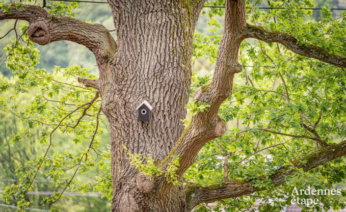 Cozy wooden family chalet in Aywaille, Ardennes