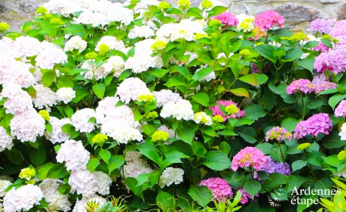 Holiday cottage in Aywaille for 2 persons in the Ardennes