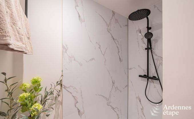 Luxurious holiday home in Baillonville for 6 people with wellness and heated swimming pool