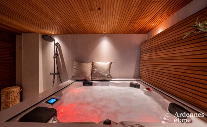 Luxurious holiday home in Baillonville for 6 people with wellness and heated swimming pool