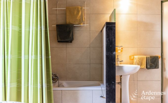 Holiday cottage in Baives (FR) for 10 persons in the Ardennes