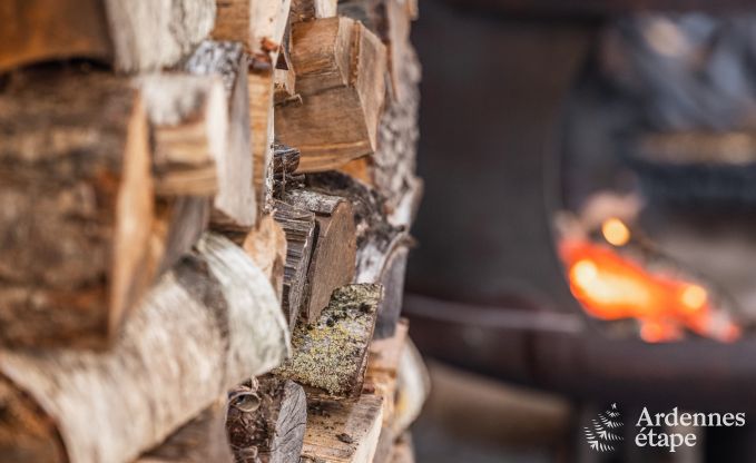 Holiday cottage in Baives (FR) for 10 persons in the Ardennes