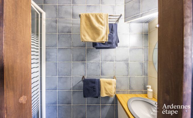 Holiday cottage in Baives (FR) for 10 persons in the Ardennes