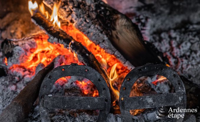 Holiday cottage in Baives (FR) for 10 persons in the Ardennes