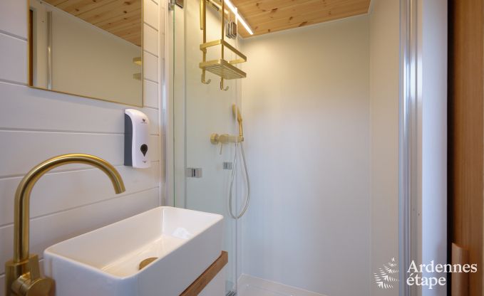 Extraordinary holiday home in Bastogne, Ardennes