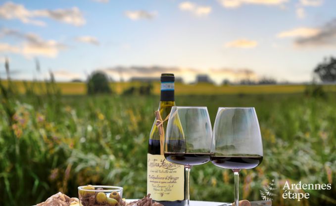 Extraordinary holiday home in Bastogne, Ardennes