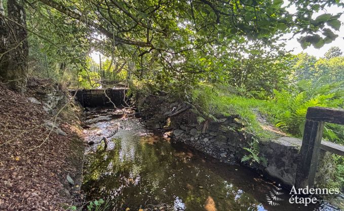 Charming house in Bastogne in the Ardennes: accommodation for 18 people