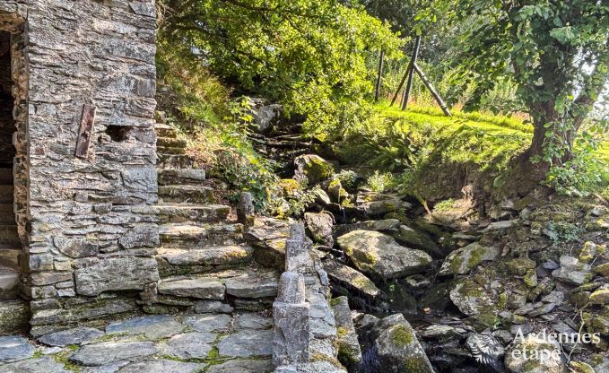 Charming house in Bastogne in the Ardennes: accommodation for 18 people