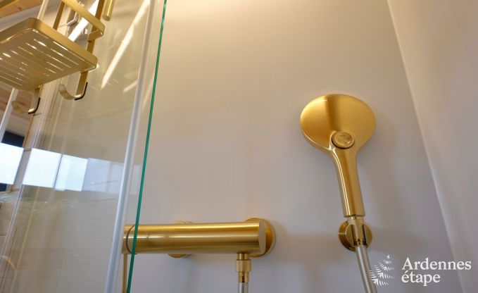 Extraordinary holiday home in Bastogne, Ardennes