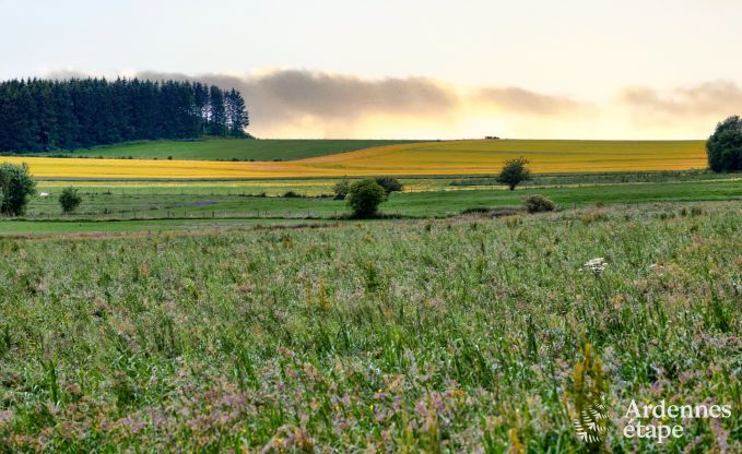 Extraordinary holiday home in Bastogne, Ardennes